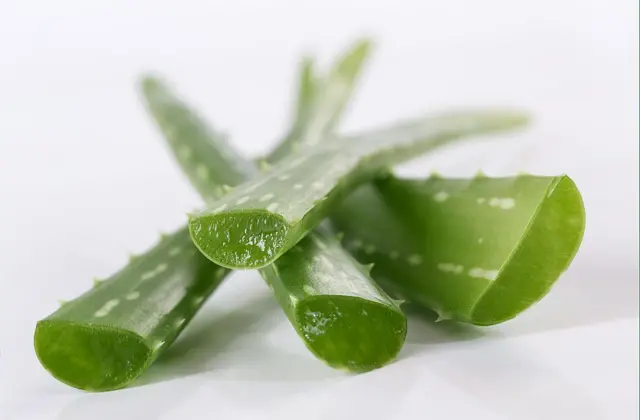 Qutane Pré-Soins Apaisant aloe vera